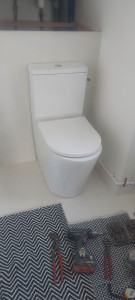 Photo de galerie - Pose wc