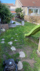 Photo de galerie - Tonte de pelouse - Débroussaillage