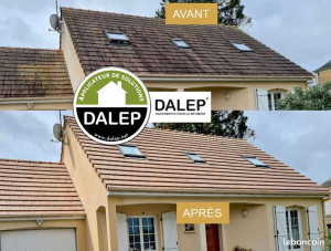 Photo de galerie - Démoussage de toiture
Par produit d'Alep 2100