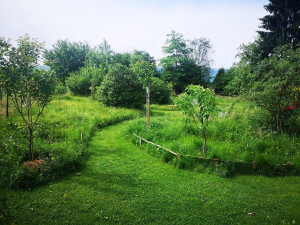 Photo de galerie - J'ai débroussaillé une grande entrée de jardin en créant un chemin bien dégagé à travers la végétation. 
