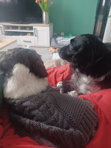 Photo de galerie - Repos mérité 