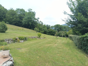 Photo de galerie - Mise au propre d'un jardin 
Tonte taille des haies