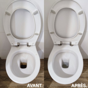 Photo de galerie - Nettoyage des WC.