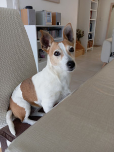 Photo de galerie - Petite jazzy adorable ?