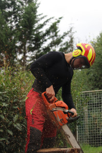 Photo de galerie - Battage d'un frène 