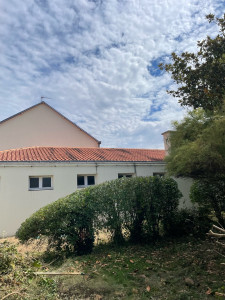 Photo de galerie - Taille de haies et d'arbustes