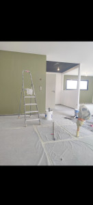 Photo de galerie - Rénovation peinture intérieure avec préparation des supports, protection du chantier, peinture murs et plafonds et réalisation de finitions soignées avec plusieurs teintes.