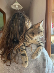 Photo de galerie - Gros calin pour Hestia