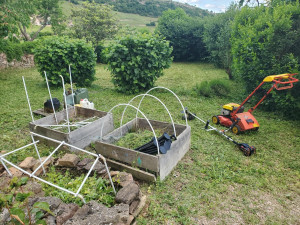 Photo de galerie - Tonte de pelouse - Débroussaillage