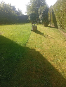 Photo de galerie - Tonte