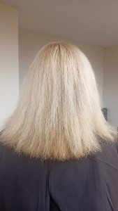 Photo de galerie - Avant prestation 