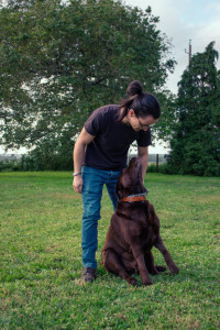Photo de galerie - Balade en campagne en l'absence de ses maîtres pour lui dégourdir les pattes.