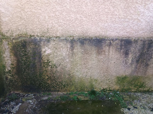 Photo de galerie - Jardinier