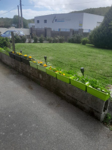 Photo de galerie - Entretien jardin après 