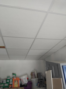 Photo de galerie - Faux plafond 