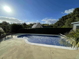 Photo de galerie - Taille de haie annuel 