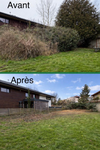 Photo de galerie - Elagage et coupe d'arbres
