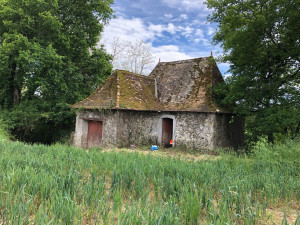 Photo de galerie - Débroussaillage 