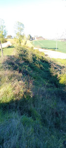 Photo de galerie - Talus 5000m2 ronces à 1m50 de hauteur , débroussailleuse forestière 