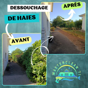 Photo de galerie - Elagage et coupe d'arbres