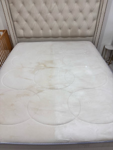 Photo de galerie - Nettoyage matelas 2 places 