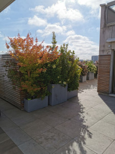 Photo de galerie - Paysagiste - Aménagement du jardin