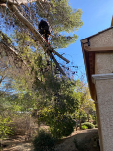 Photo de galerie - Mise en sécurité 