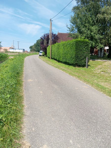 Photo de galerie - Taille de haies et d'arbustes