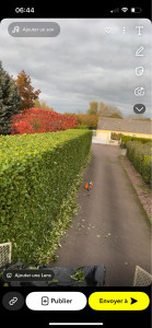 Photo de galerie - Taille de haies et d'arbustes