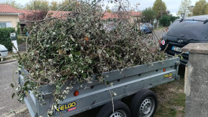 Photo de galerie - Retrait de Ronces dans une haie