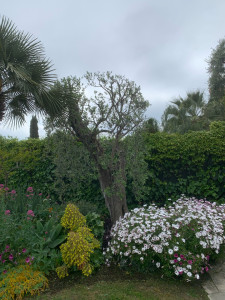Photo de galerie - Paysagiste - Aménagement du jardin