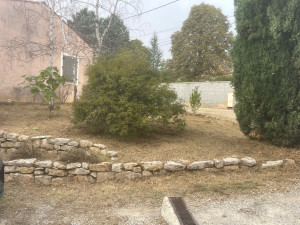 Photo de galerie - Réalisation de jardin ,coupe pelouse et arbustes et haies 