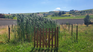 Photo de galerie - Pose petite clôture autour d'un étang 