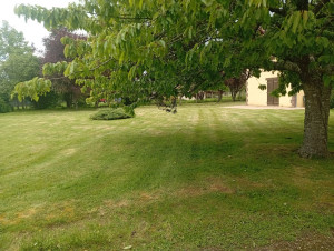 Photo de galerie - Tonte 4200m2