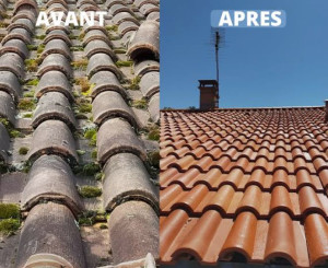 Photo de galerie - Démoussage et traitement de toiture 
