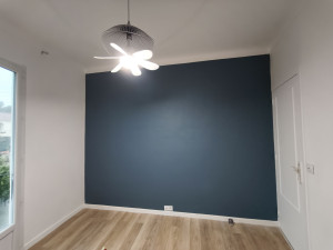 Photo de galerie - Mur peinture velours bleue 