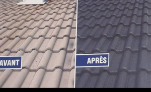 Photo de galerie - Peinture toiture 