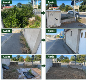 Photo de galerie - Chantier réalisé débroussailleuse plus aménagement jardin plus désherbage manuelle 