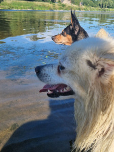 Photo de galerie - Pet-sitting 