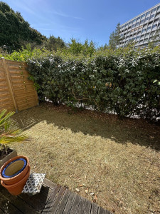 Photo de galerie - Tonte de pelouse - Débroussaillage