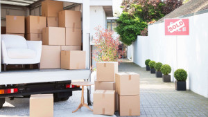 Photo de galerie - . 