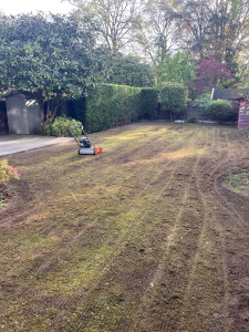 Photo de galerie - Scarification 