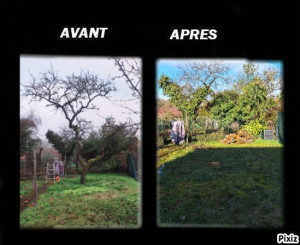 Photo de galerie - Elagage et coupe d'arbres