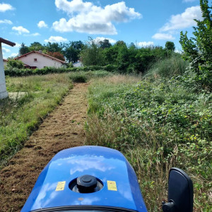 Photo de galerie - Broyage de terrain avant la vente 