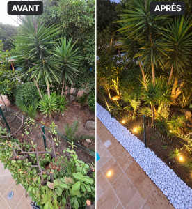 Photo de galerie - Dessouchage d'une et de laurier cerise plus plantation de végétaux avec mise en place de luminaire extérieur