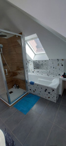 Photo de galerie - Rénovation SDB 