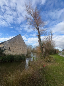 Photo de galerie - Branche coupe fin de chantier 