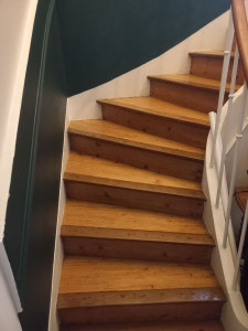 Photo de galerie - Nettoyage d'un escalier réalisée 