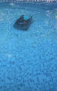 Photo de galerie - Passage de robot piscine avec traitement anti algues 