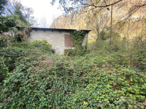 Photo de galerie - Débroussaillage 